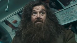 Nick Frost as Hagrid in the train