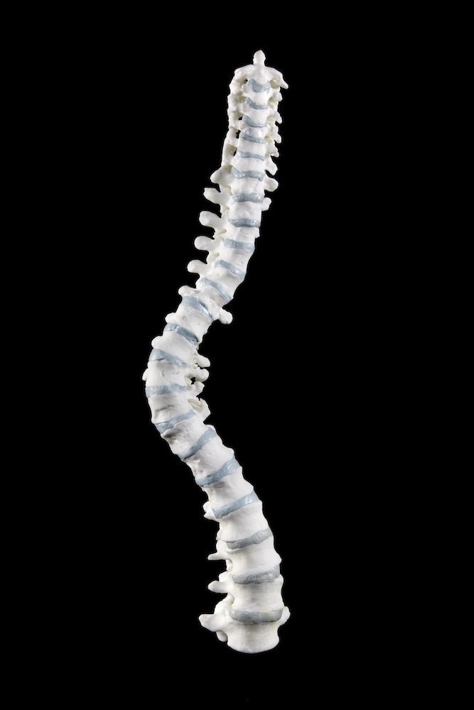richard iii spine model
