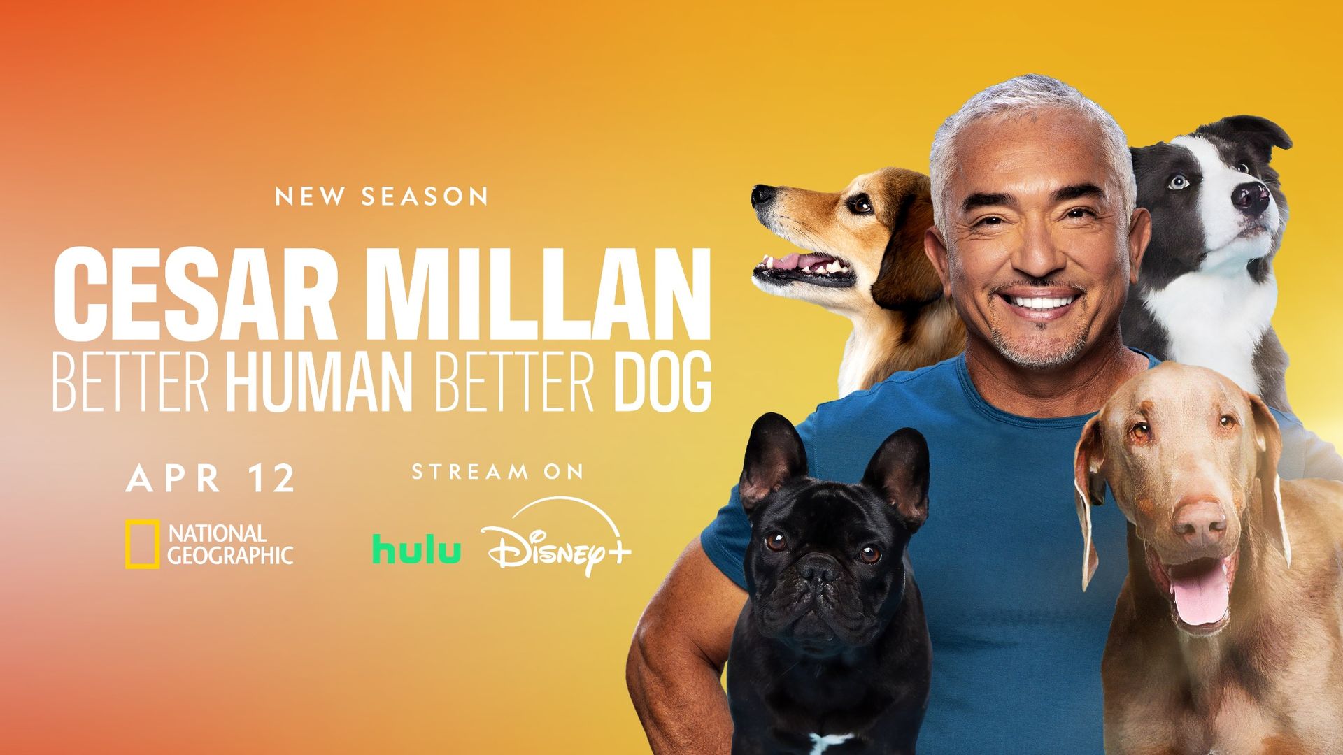 Dog Whisperer Plays ‘Matchmaker’ in New Season of ‘Better Human Better