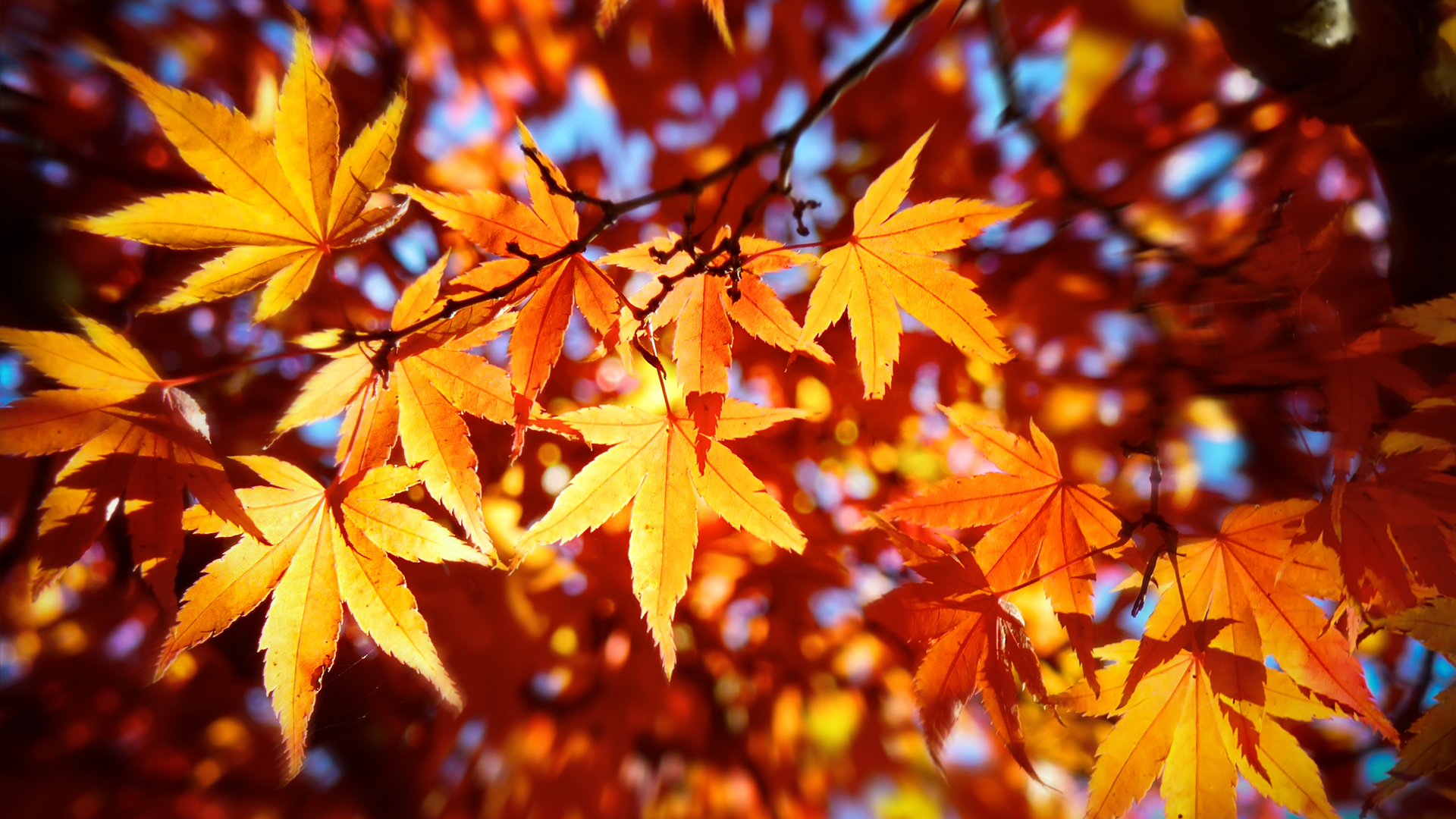 Why doesn’t the autumnal equinox fall on the same day each year? Live