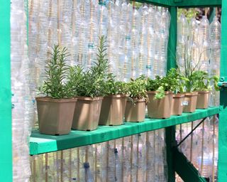 Recycled plastic bottle greenhouse