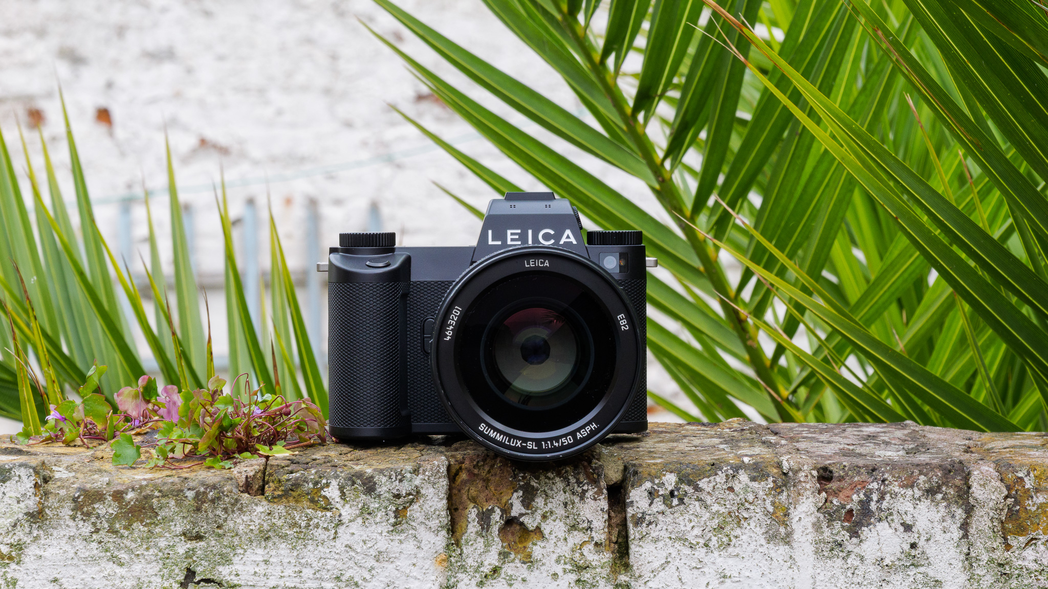 Leica SL3-P mirrorless camera