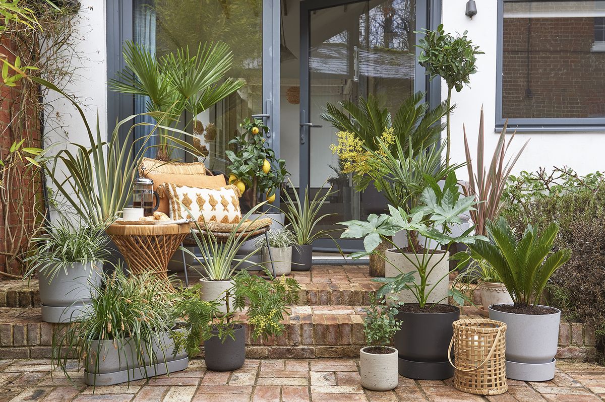 10 Ideas For Small Gardens On A Budget How To Maximise Style For 