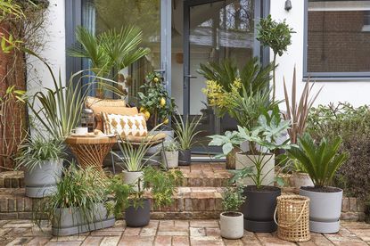 10 Ideas For Small Gardens On A Budget - How To Maximise Style For Minimal  Cost | Livingetc