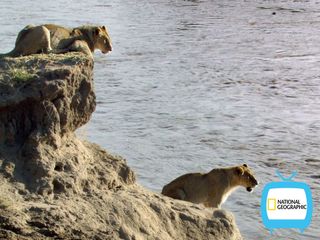 National Geographic