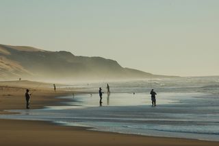 Mussel Rock Dune - Guadalupe-Nipomo Dunes