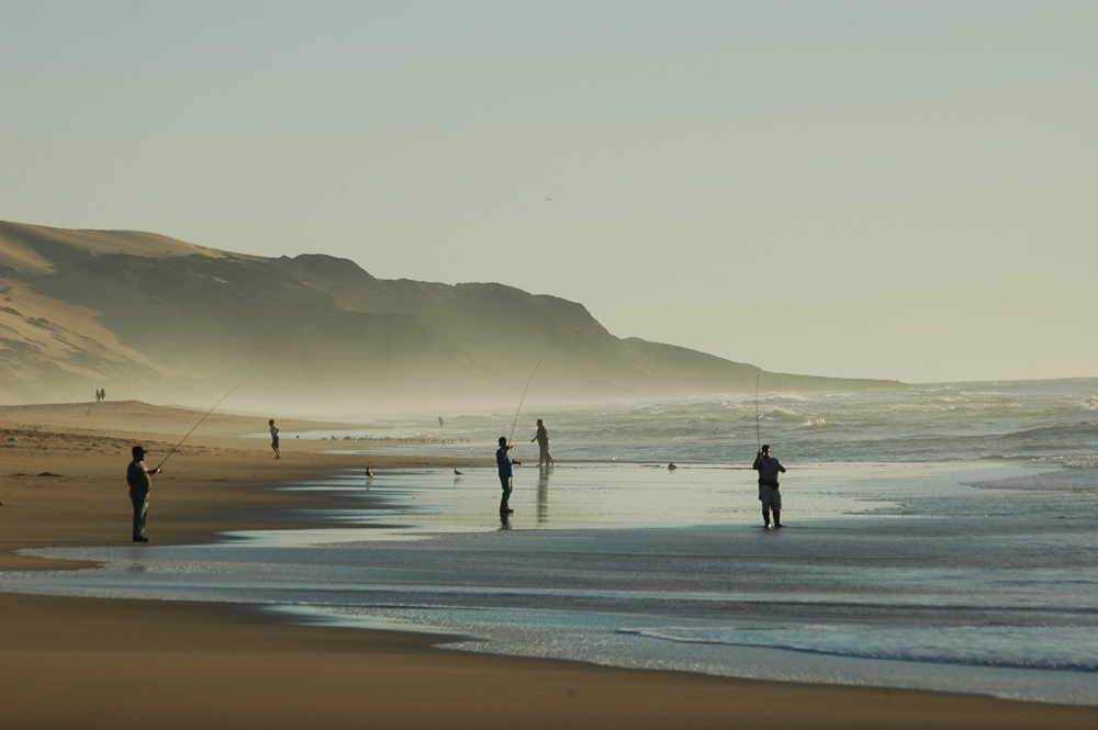 Sand Scenes: California's Shifting Dunes: Page 2 | Live Science