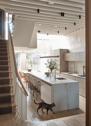 a double height kitchen space with exposed rafters