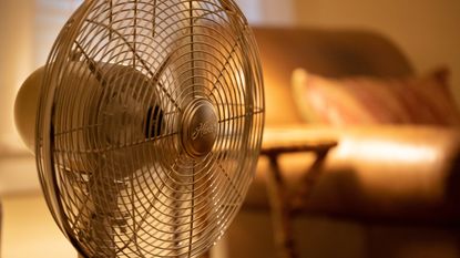 Fan in the living room with brown leather couch in the background