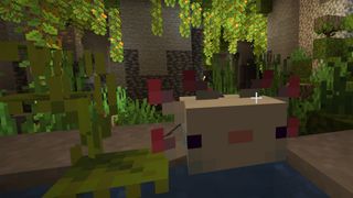 Minecraft axolotl in lush cave