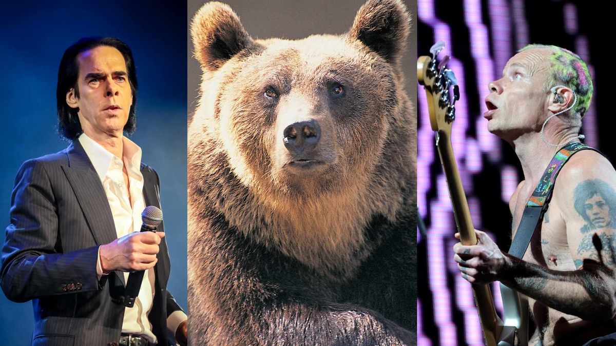 Nick Cave, Flea and a bear