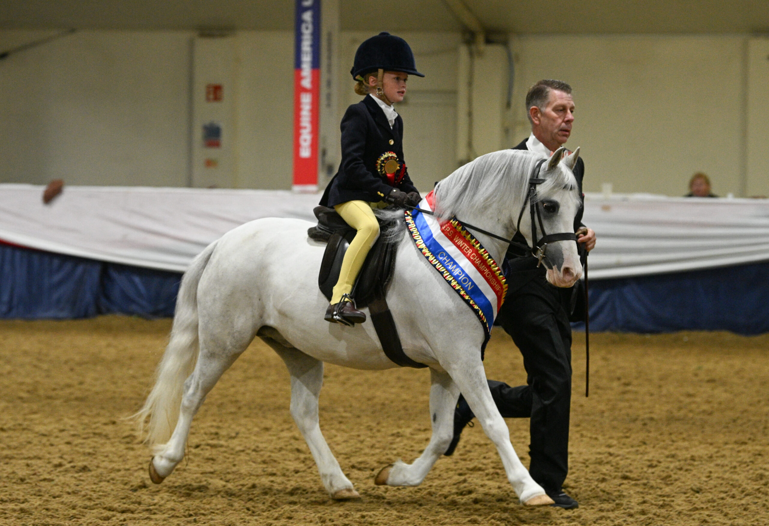 Martin Wood's Thistledown Wood Owl trots out of the ring heritage mini novice champion led by Craig Elenor with Gracie May Whitaker in the saddle at the BSPS Winter Championships