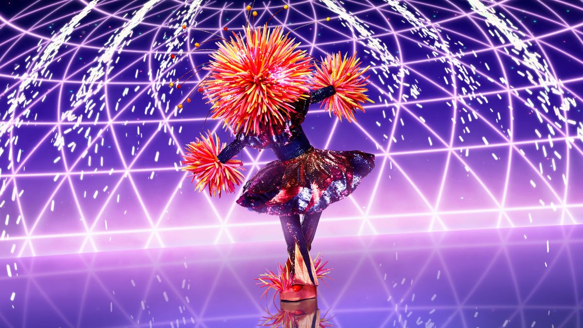 'The Masked Singer' fans guess Firework's identity after spotting this hidden clue