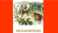 The Metamorphosis, Franz Kafka