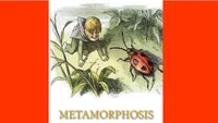 The Metamorphosis, Franz Kafka