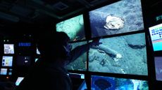 Researchers pinpoint the mammoth tusk on the ocean floor