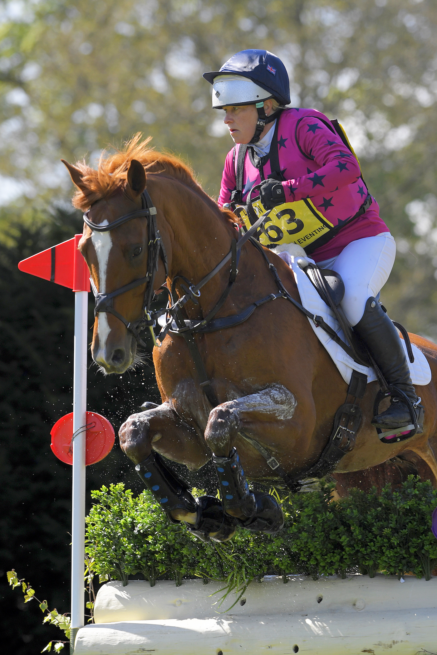 Sharon Poulding - 2019 Chatsworth International Horse Trials