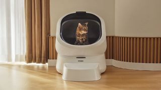 Cat using Petlibro Luma Smart Litter Box.