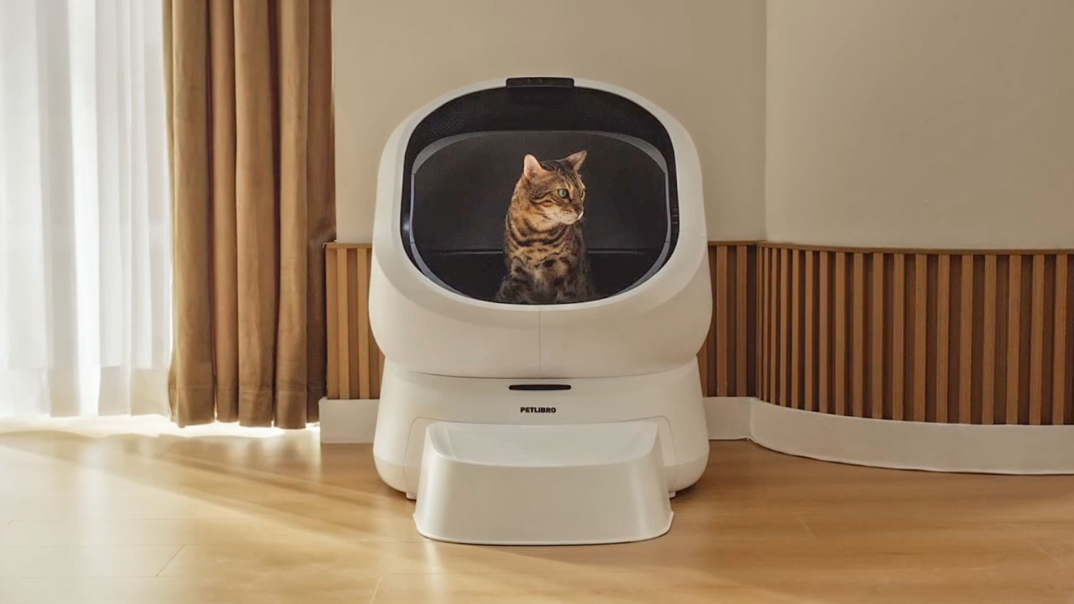 Cat using Petlibro Luma Smart Litter Box.