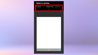 A screenshot of the print menu in Google Drive, showing the print settings being set