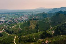 Prosecco New Zealand