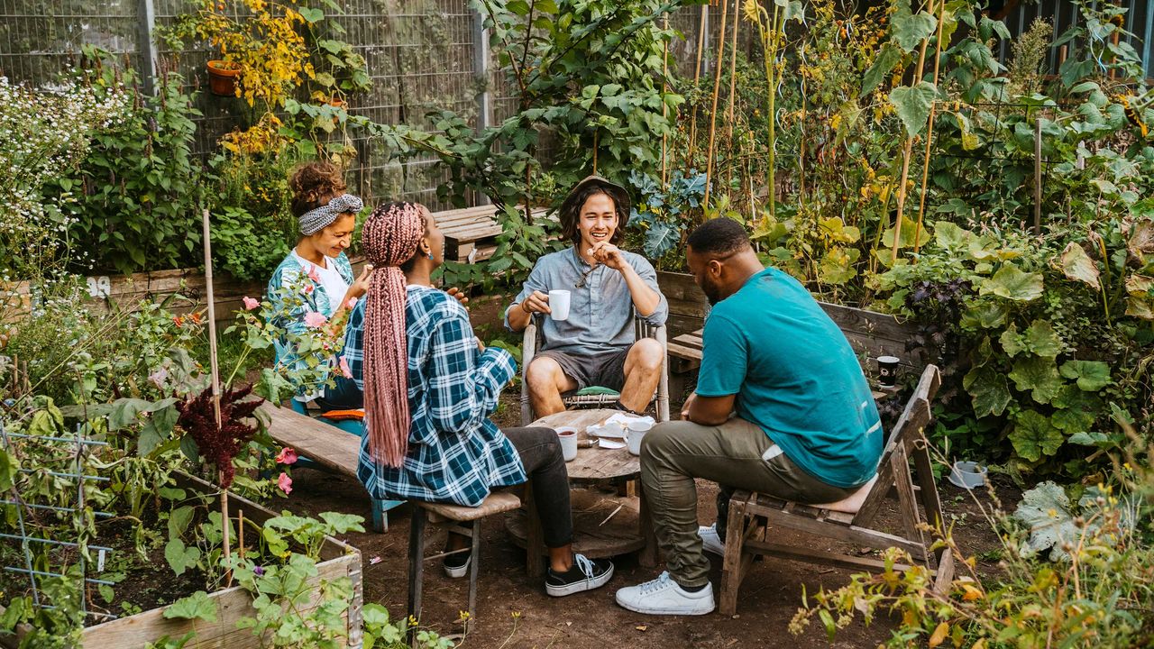 people sat in community garden