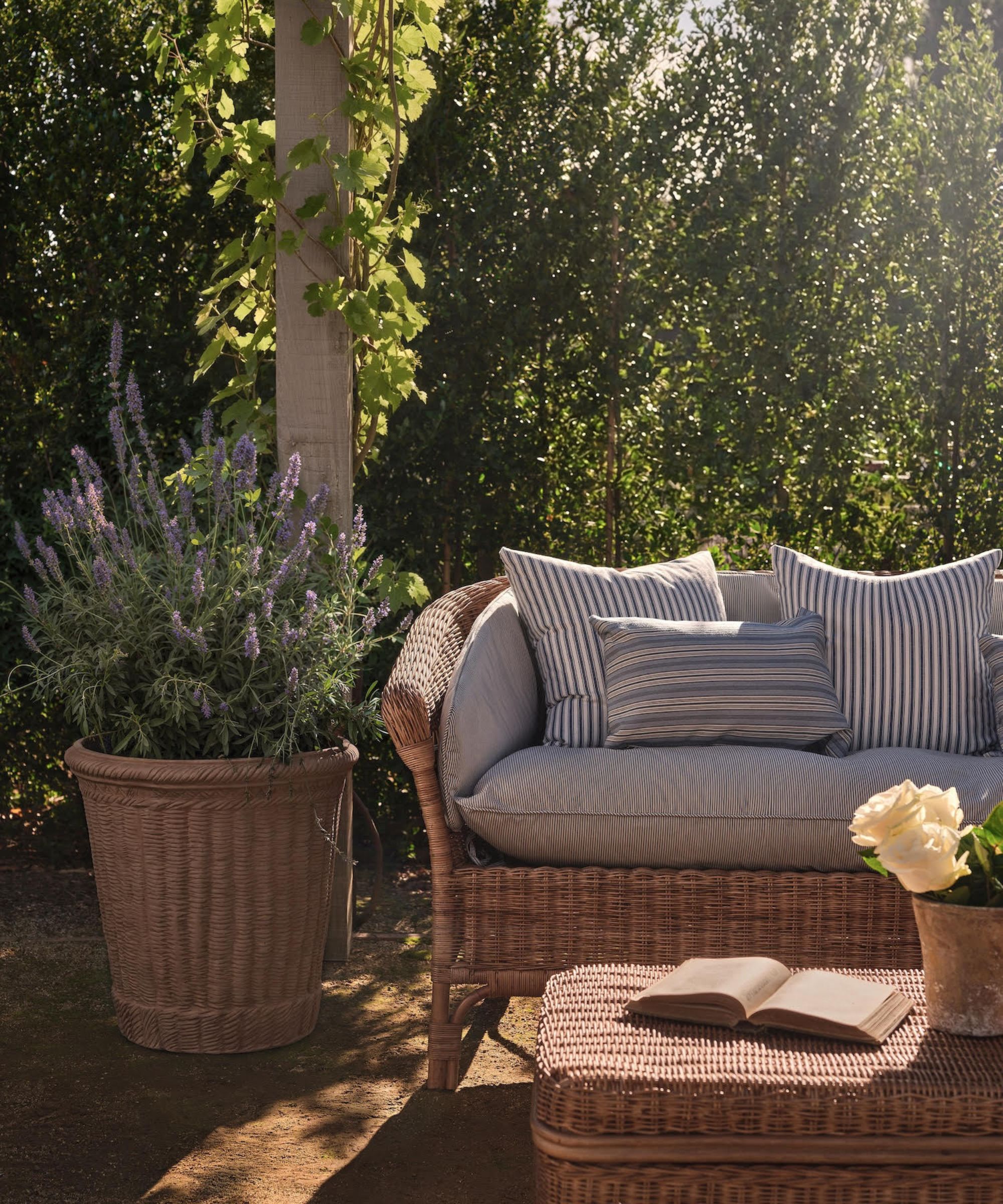 olive ateliers pamela anderson