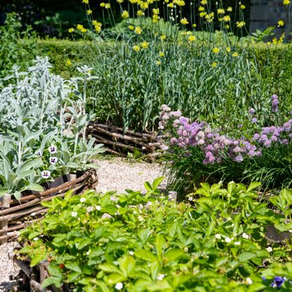 wattle raised bed herb garden