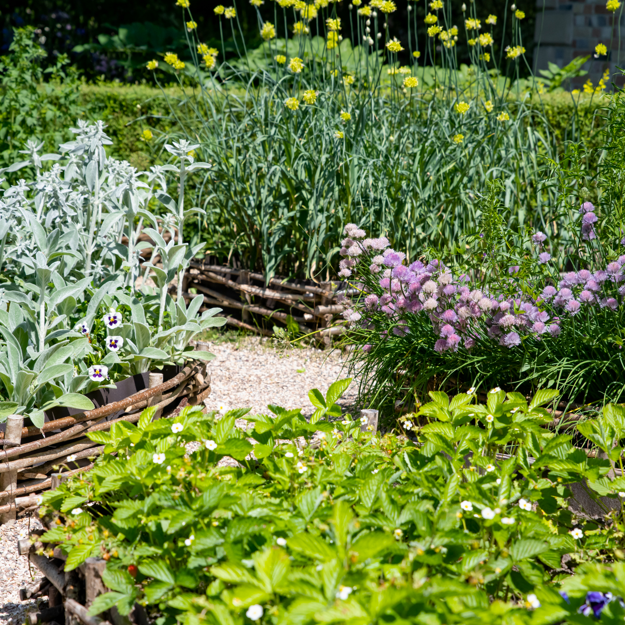wattle raised bed herb garden