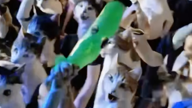 Will Smith&#039;s crowd of cats