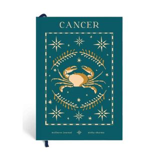 Papier Wellness Journal - astrology gifts