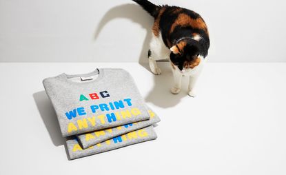 ‘ABC We Print Anything’, by Carolee Schneemann and Abyme, 2017, with a cat