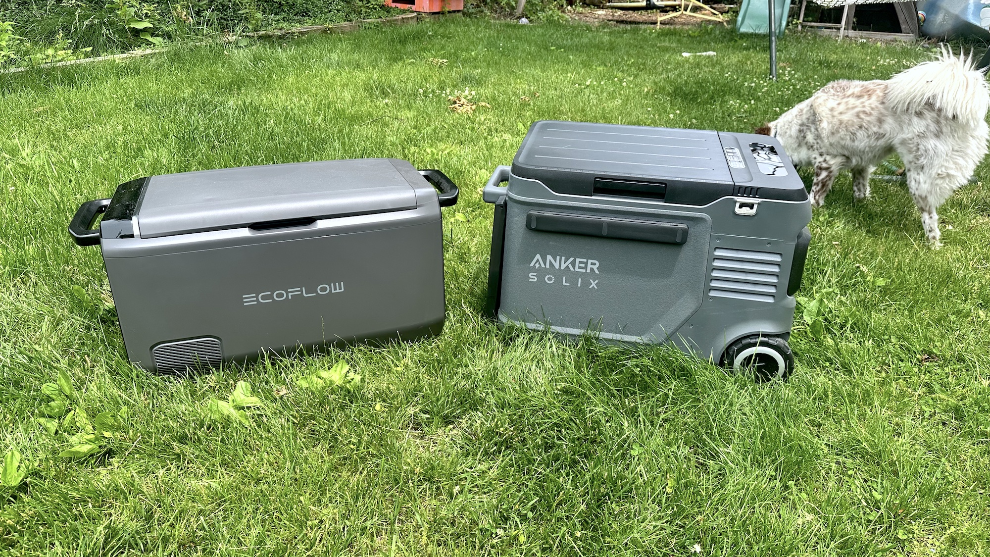 Anker Solix EverFrost 2 cooler next to EcoFlow Glacier cooler, with a dog in the background.