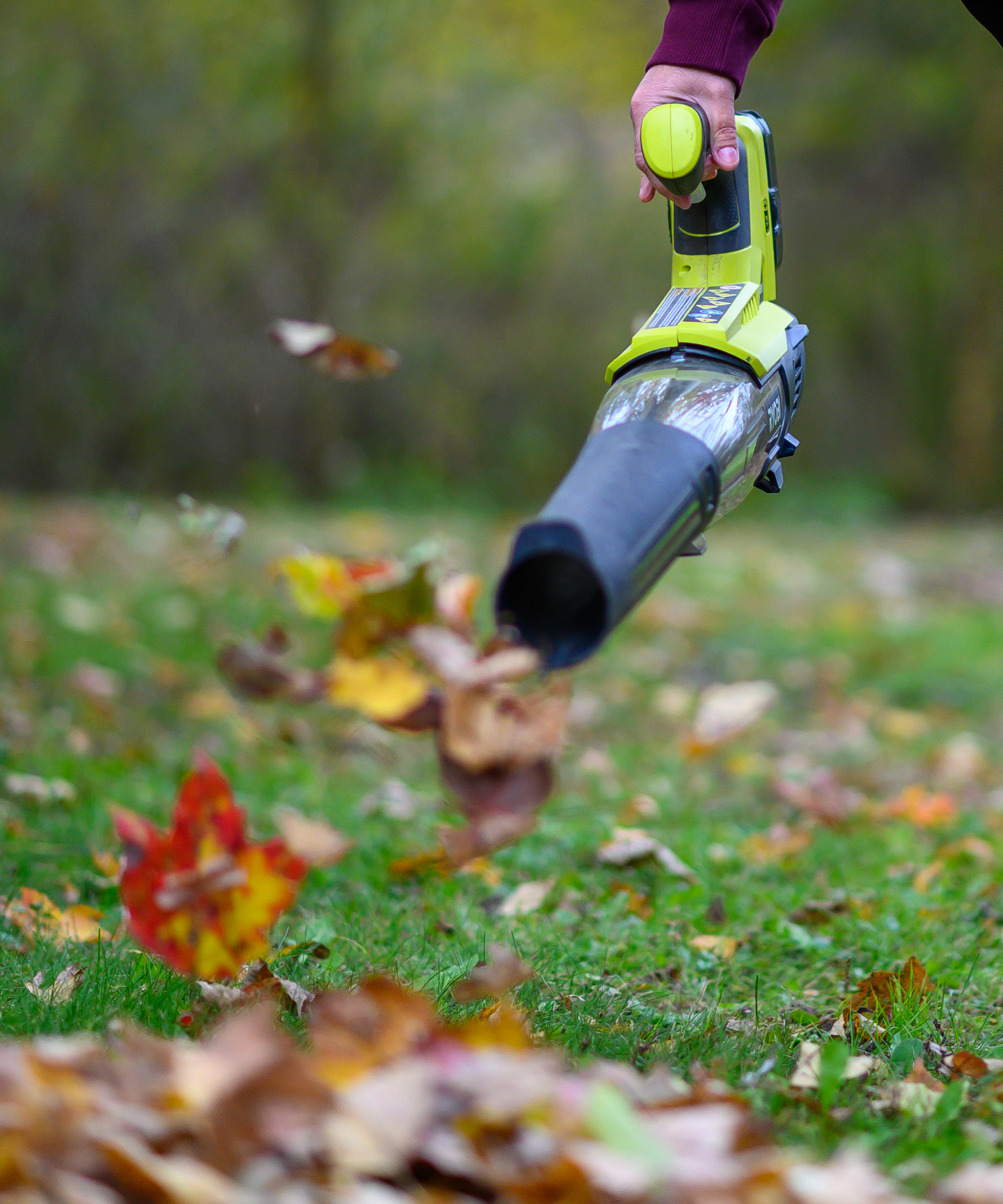 Woman blowing leaves with Ryobi leaf blower