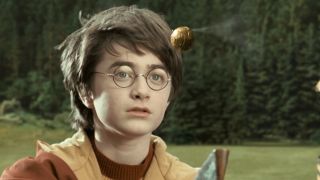 Harry looking at the golden snitch flying in front of his face