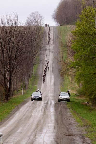 The peloton enjoys a little roller coaster ride.