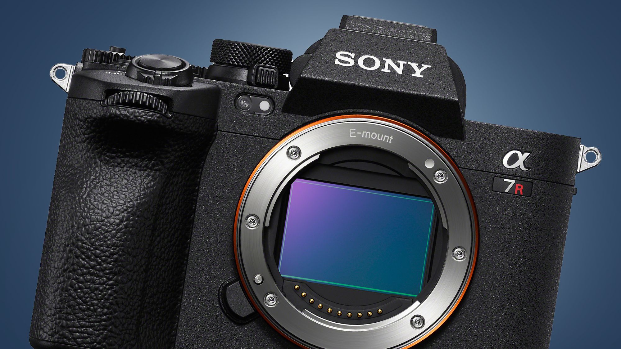 The Sony A7R V's AI-powered autofocus could make it hard to miss a shot ...