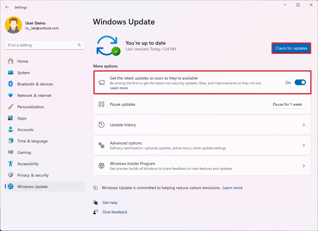 Windows Update settings for version 24H2