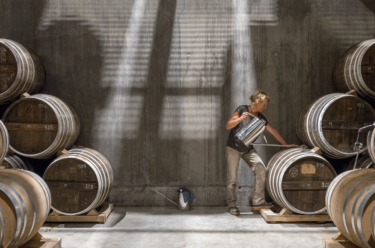 Domaines des Hautes Glaces barrel room 