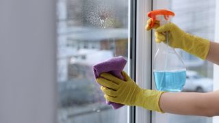 Woman cleaning a window with cloth and spray