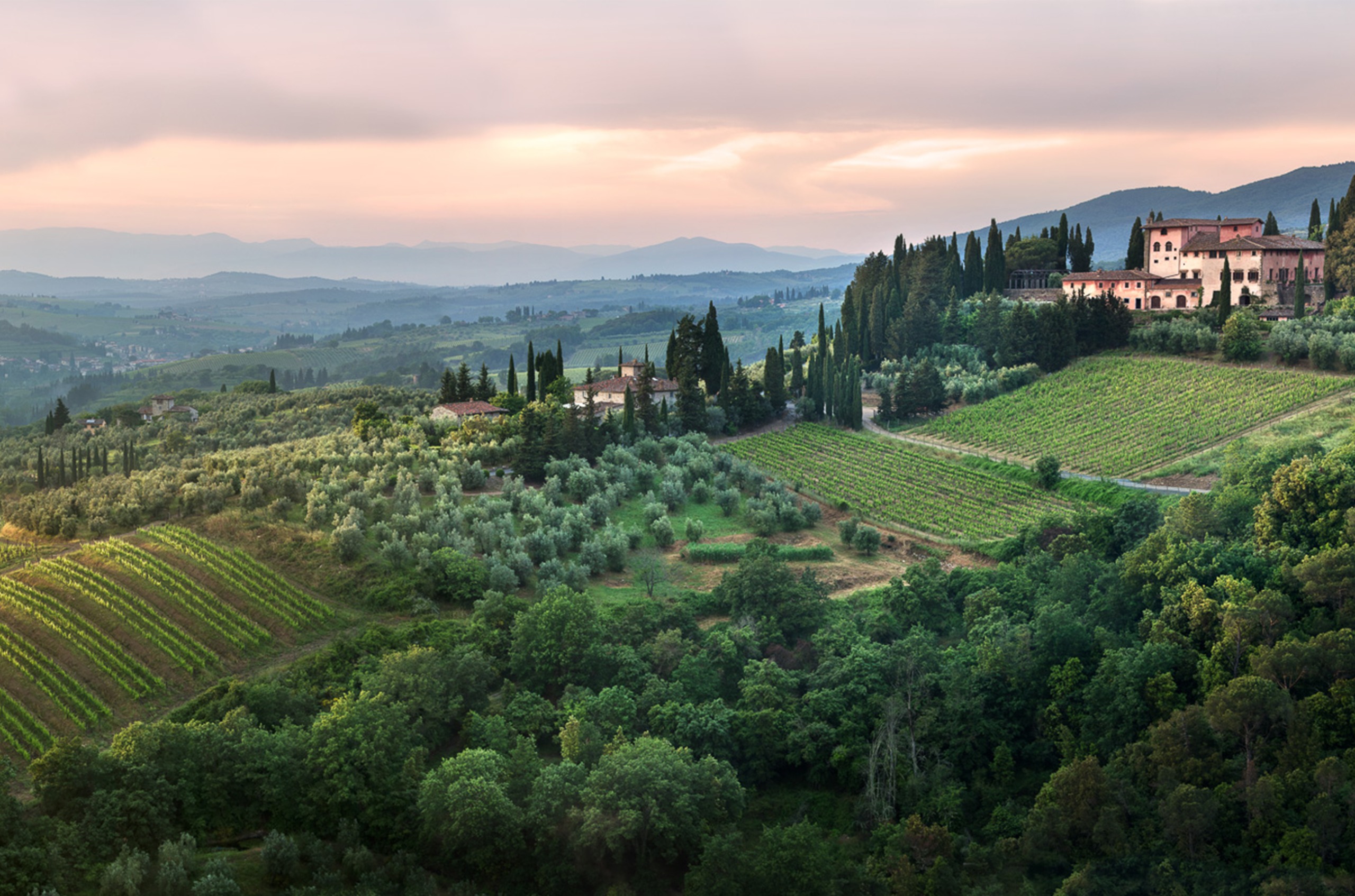 Landscape with pink winery buildings on right side overlooking a hill with green vines and trees
