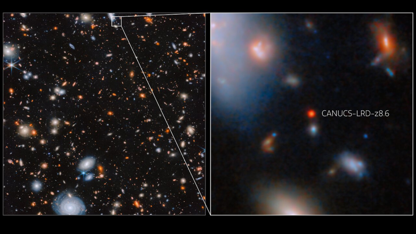(Left) an image of many glowing galaxies in various shapes and colours, including spiral and elliptical galaxies, on a black background. A small box near the top of this image highlights a small collection of galaxies. (Right) the same area zoomed in to reveal its details up close. This region shows a small circular red galaxy in the centre, which is labelled “CANUCS-LRD-z8.6”