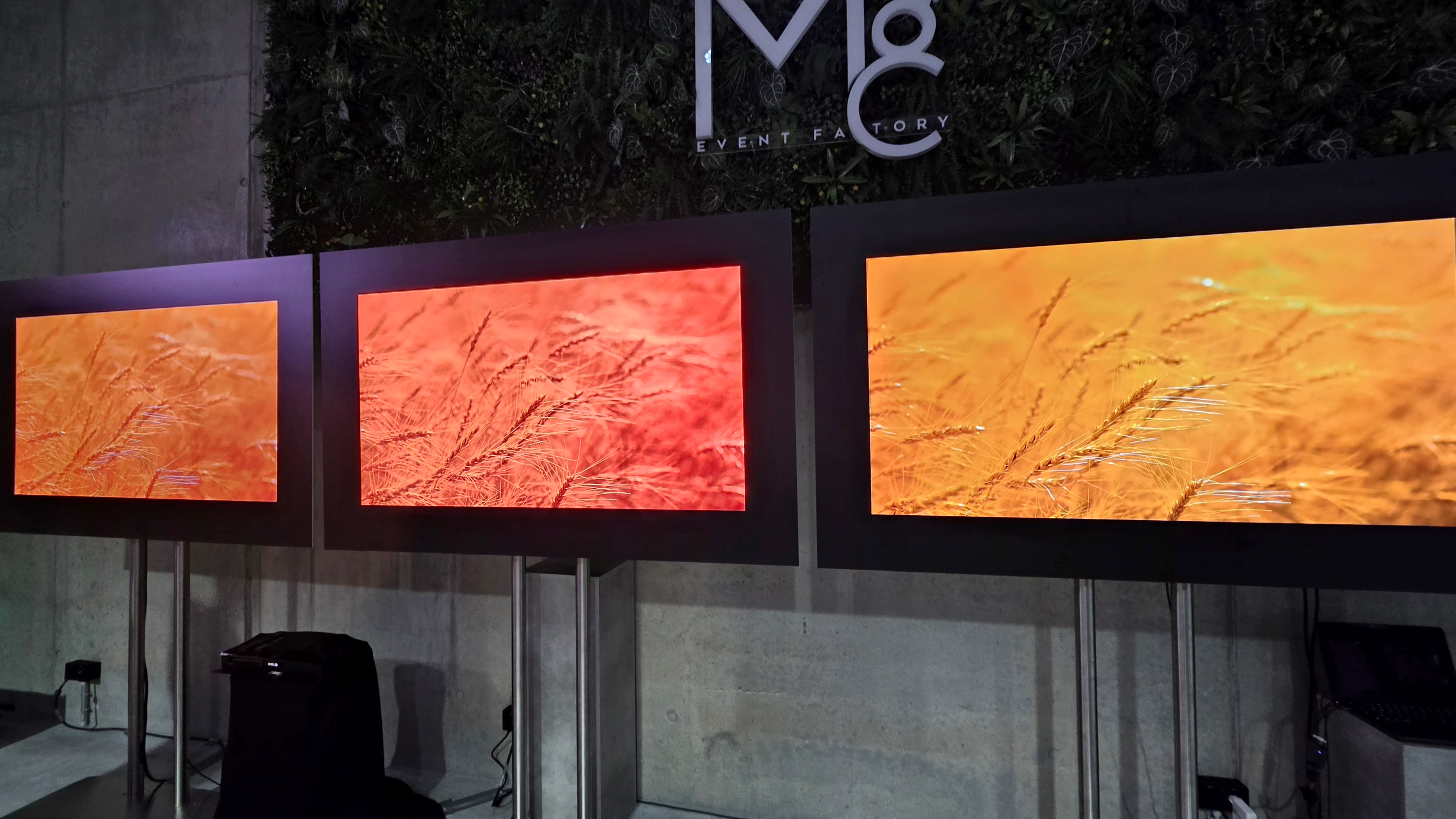 Left to right: Samsung S90F (QD-OLED), Hisense UR9 (Mini-LED), LG C5 (OLED)