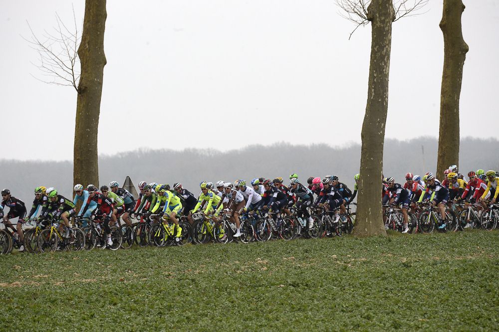 The pack rides during the first stage of the 73rd edition of the Paris-Nice.