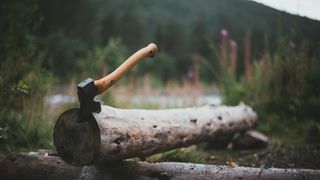 An axe in a log
