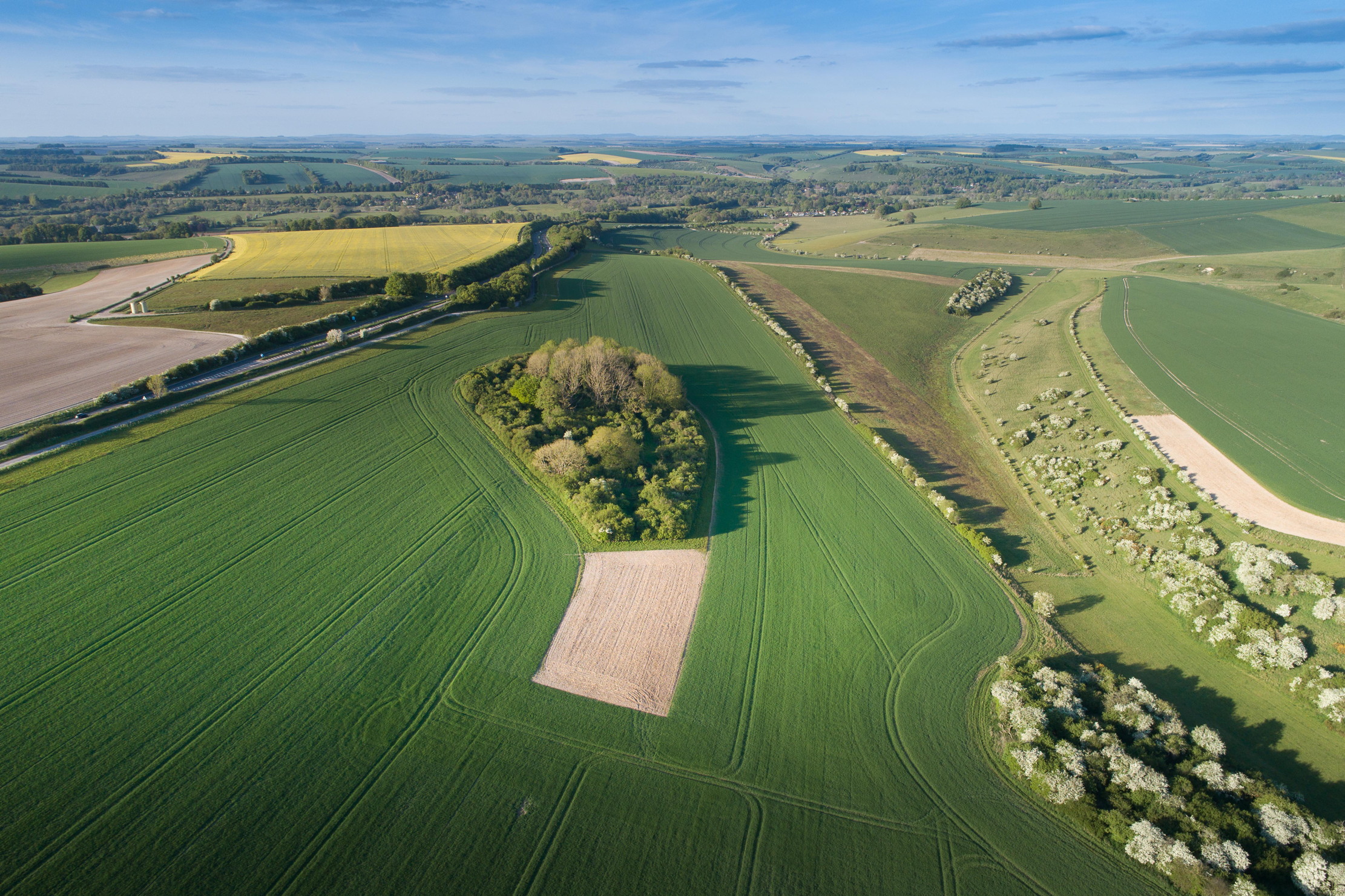 The Glorious Bapton Manor estate