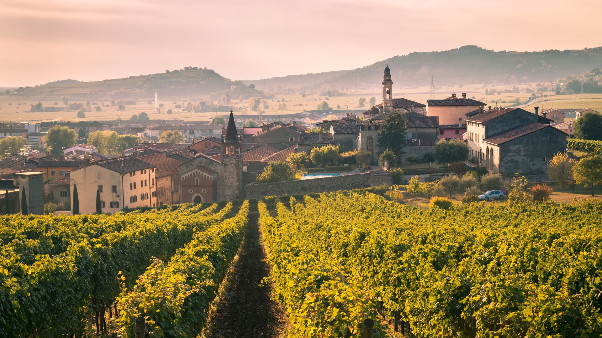 Soave vinici