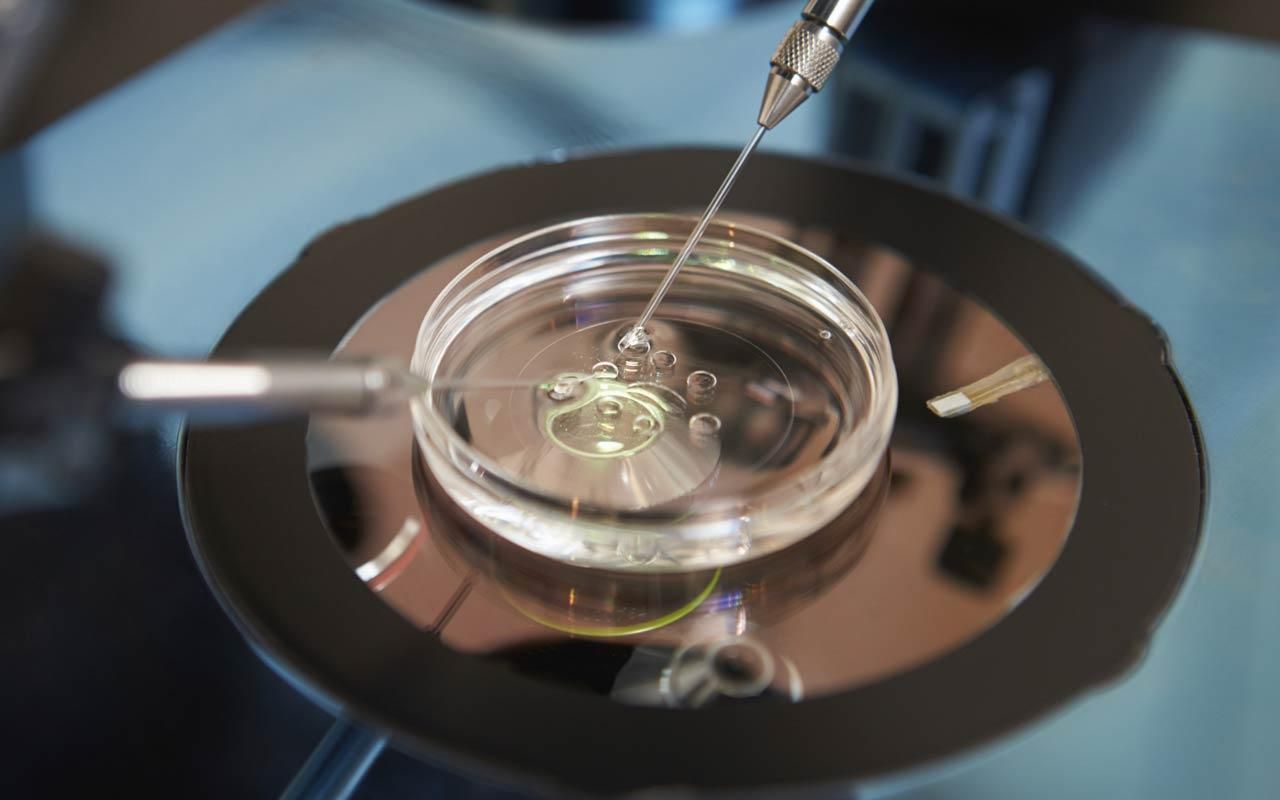 Payment for Donated Eggs