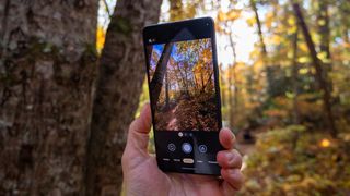 Looking at the camera viewfinder on a Google Pixel 7