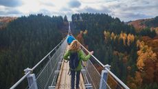People walk on a long bridge over fall foliage. 
